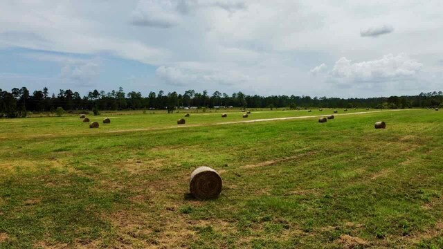 6371 Burrell Trl, Kountze, TX 77625 - photo 15
