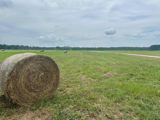 6371 Burrell Trl, Kountze, TX 77625 - photo 10