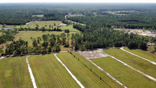 6371 Burrell Trl, Kountze, TX 77625 - photo 5