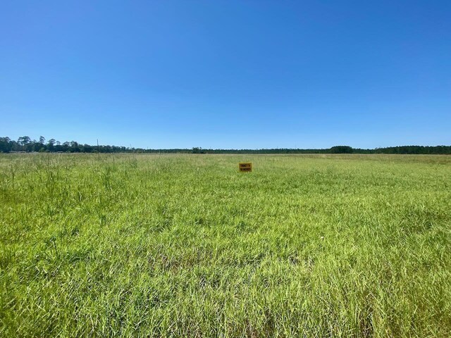 6371 Burrell Trl, Kountze, TX 77625 - photo 7