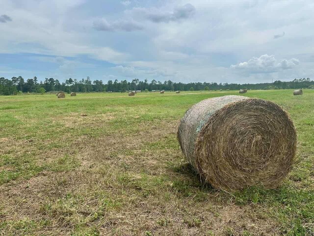 6371 Burrell Trl, Kountze, TX 77625 - photo 13