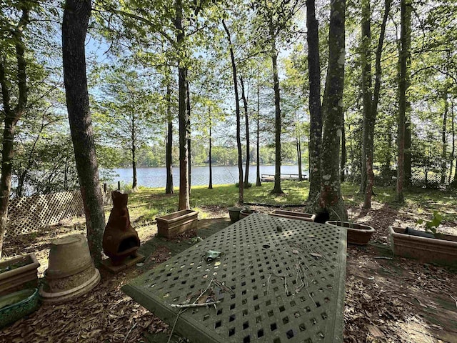 466 Galahad Loop Rd, Woodville, TX 75979 - view of yard featuring a water view