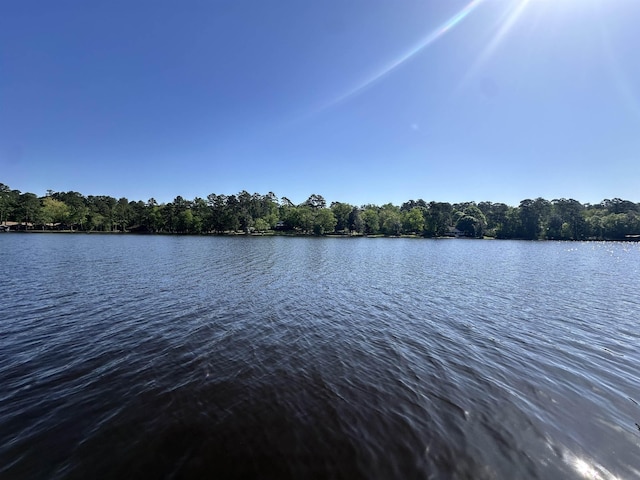 466 Galahad Loop Rd, Woodville, TX 75979 - view of water feature featuring a wooded view