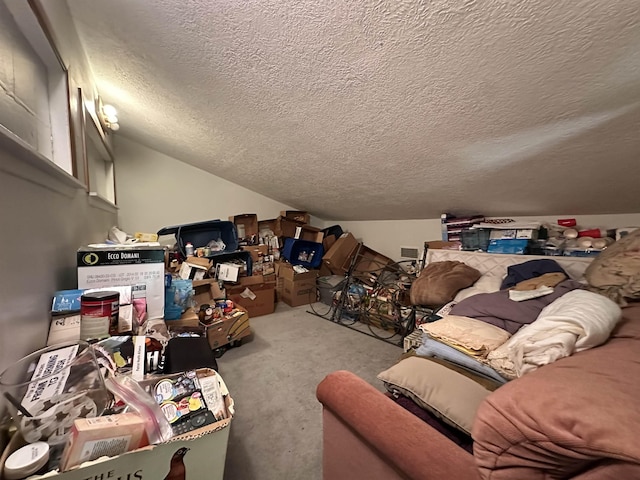 466 Galahad Loop Rd, Woodville, TX 75979 - interior space featuring carpet flooring, a textured ceiling, and lofted ceiling