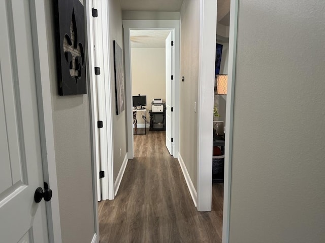 hall featuring dark hardwood / wood-style floors