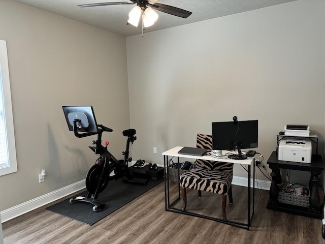 office space featuring hardwood / wood-style floors and ceiling fan