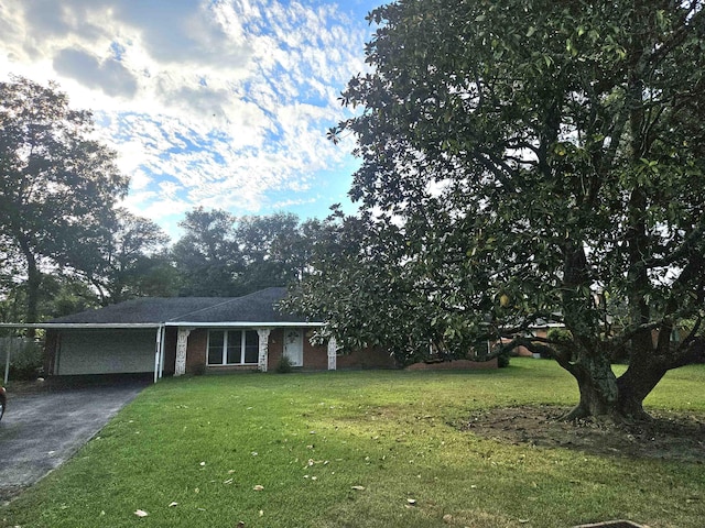 view of front facade with a front lawn and a carport