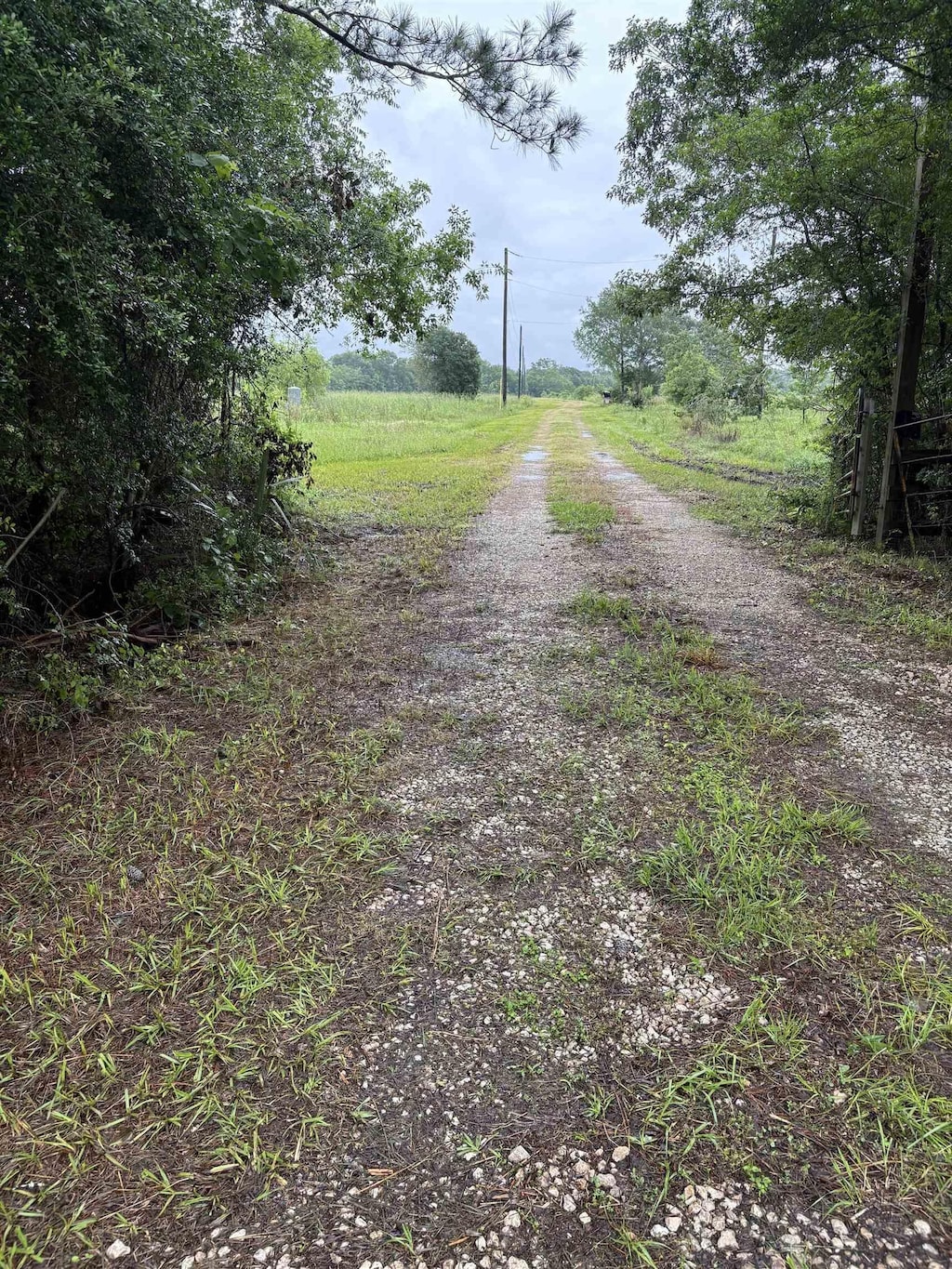 30804 Old Sour Lake Rd, Sour Lake, TX 77659 - view of road featuring a rural view