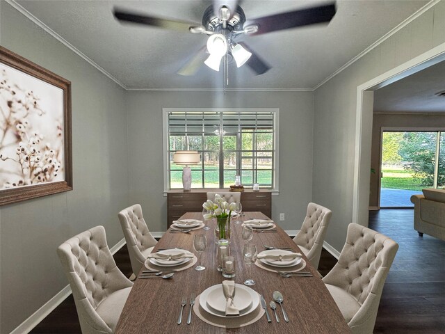 dining space featuring ornamental molding, wood finished floors, a wealth of natural light, and baseboards