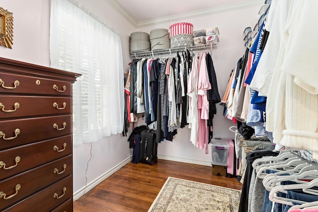 spacious closet with dark wood-type flooring