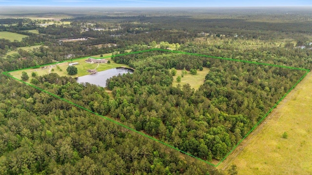 2014 Fish Lk, Kountze, TX 77625 - bird's eye view with a view of trees and a water view