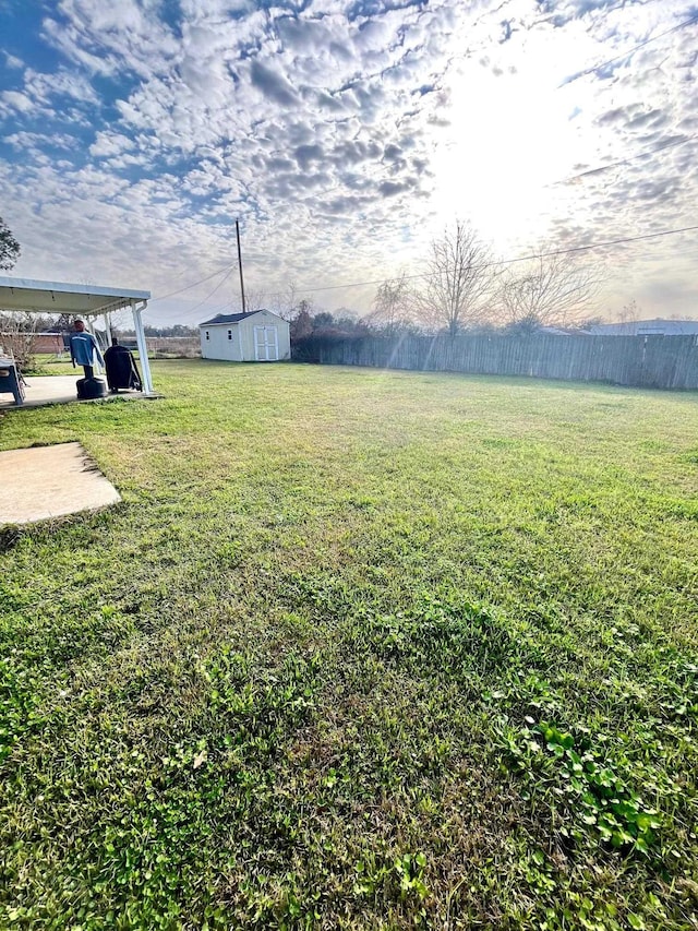 view of yard featuring a shed