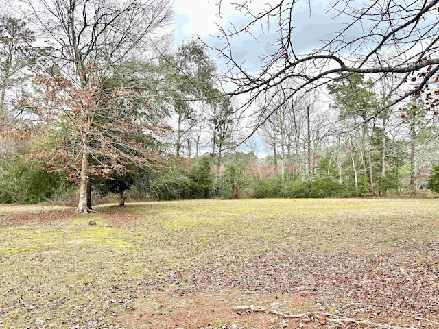 Listing photo 3 for LOT6 Westwood Dr, Jasper TX 75951