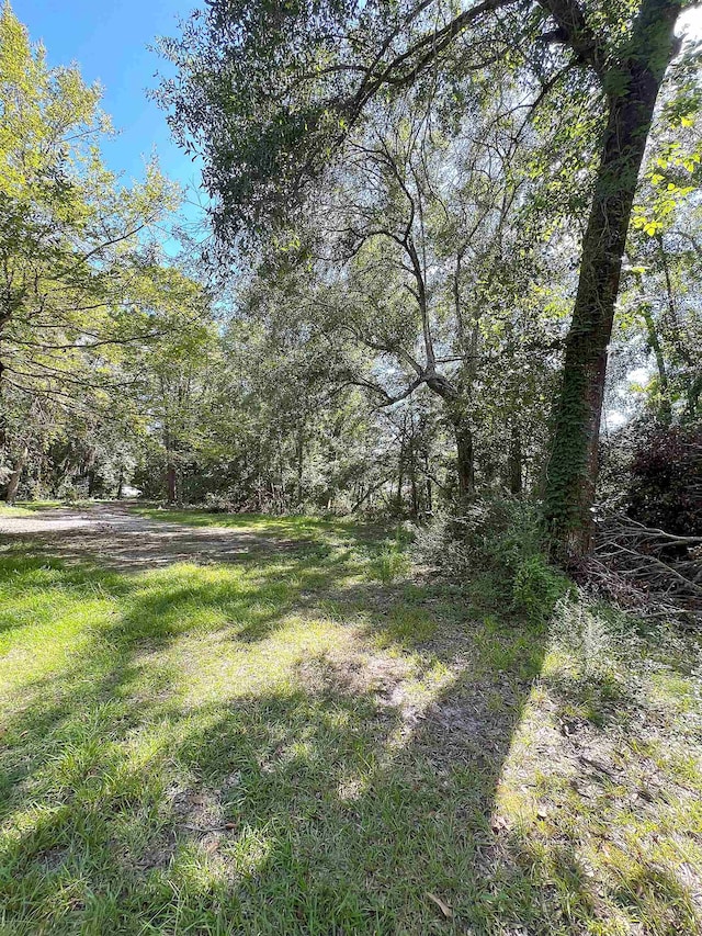 496 Durdin Dr, Silsbee, TX 77656 - photo 12