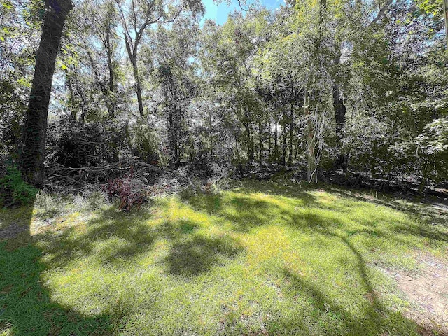 496 Durdin Dr, Silsbee, TX 77656 - photo 11