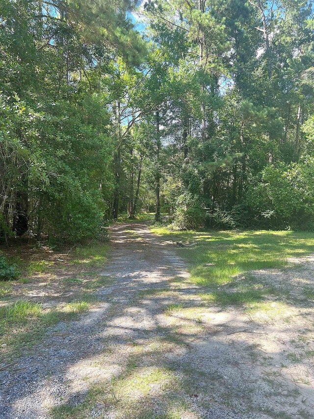 496 Durdin Dr, Silsbee, TX 77656 - photo 19