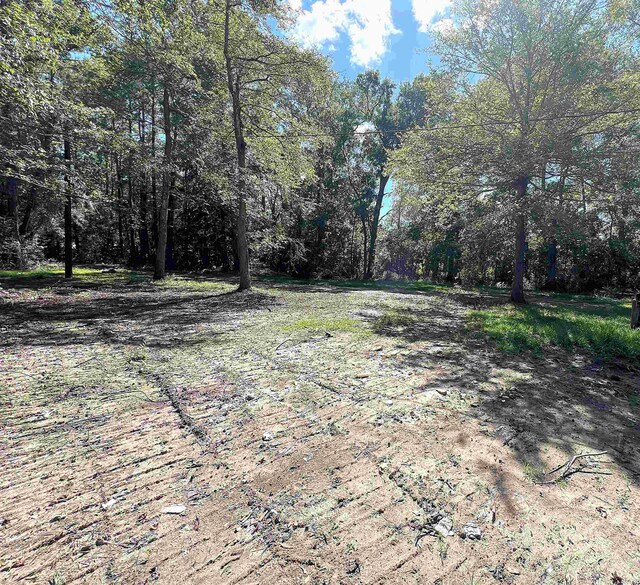 496 Durdin Dr, Silsbee, TX 77656 - photo 15