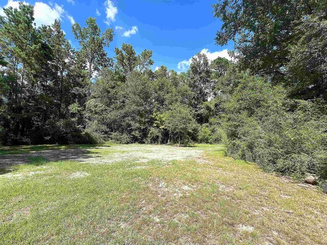 496 Durdin Dr, Silsbee, TX 77656 - photo 18