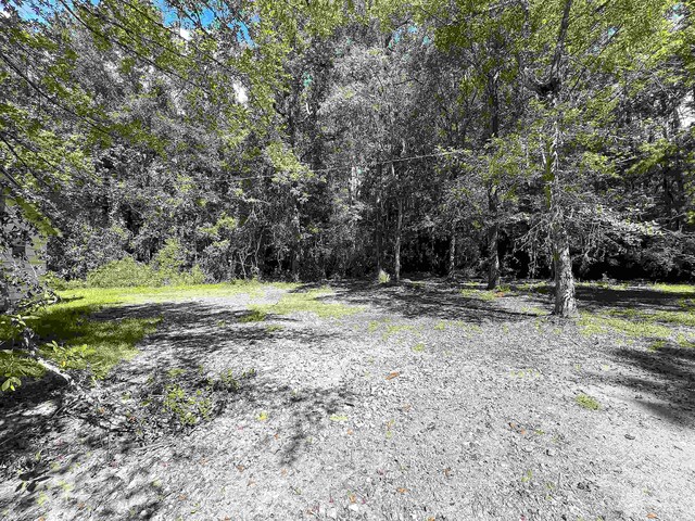 496 Durdin Dr, Silsbee, TX 77656 - photo 14