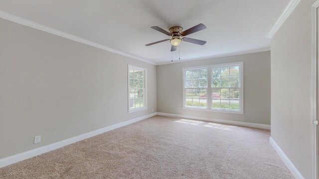 595 19th St, Beaumont, TX 77706 - photo 17