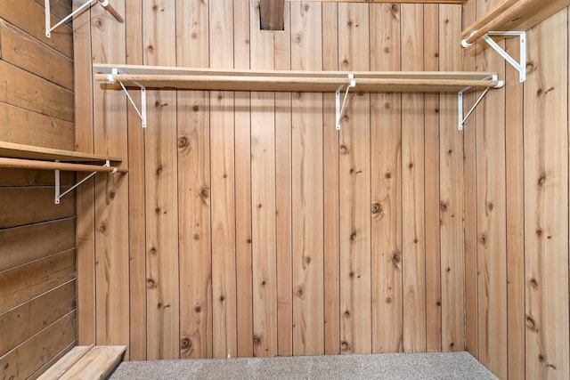 spacious closet featuring carpet floors