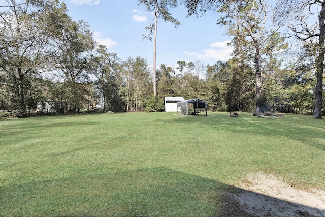 view of yard with a storage unit