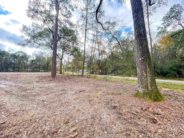 1594 Antler, Vidor, TX 77662 - photo 3