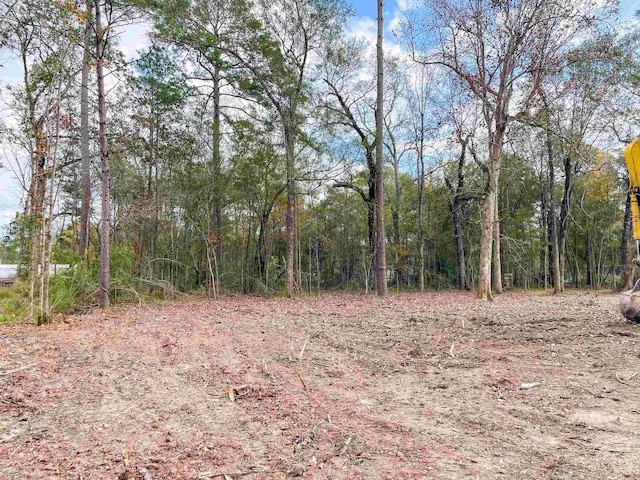 1594 Antler, Vidor, TX 77662 - photo 4