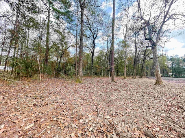1594 Antler, Vidor, TX 77662 - photo 5