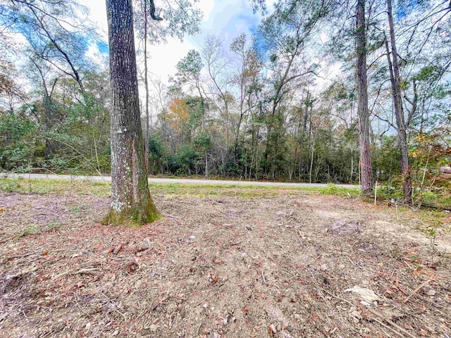 1594 Antler, Vidor, TX 77662 - photo 6