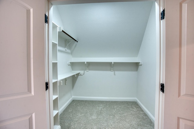 spacious closet with carpet