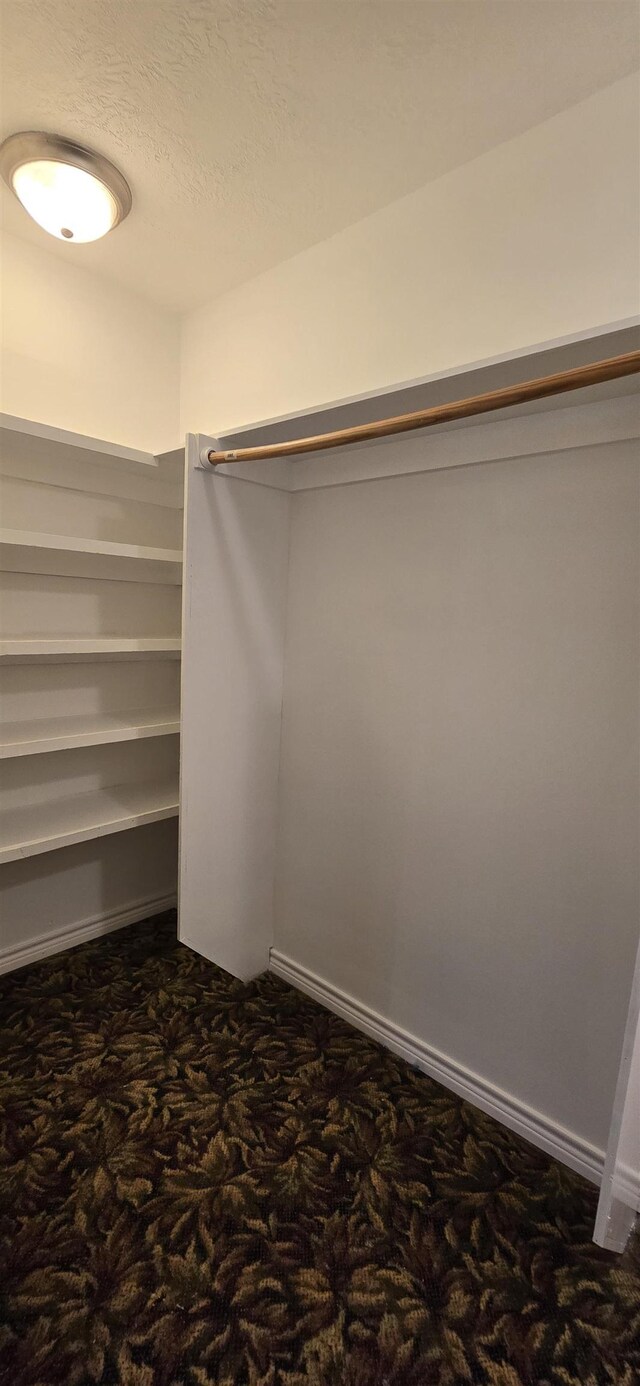 spacious closet with dark carpet