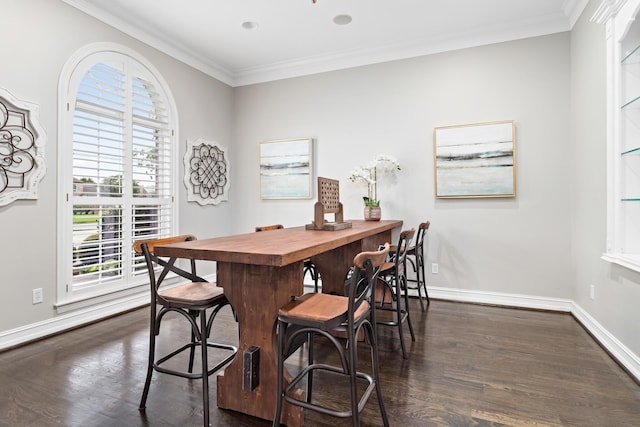 interior space with dark hardwood / wood-style floors, butcher block counters, and ornamental molding