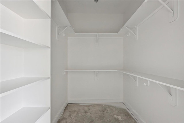 7170 Keith Rd, Lumberton, TX 77657 - walk in closet with carpet flooring