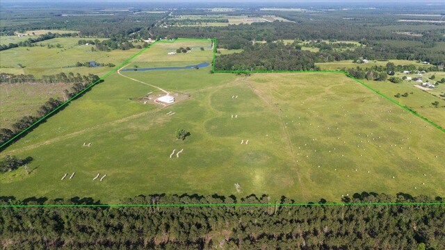 4096 Fm 1004, Kirbyville, TX 75956 - photo 31