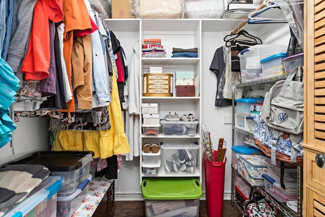 view of walk in closet