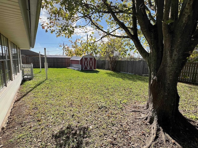 view of yard featuring a storage shed