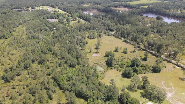 2388 Fish Lake Rd, Kountze, TX 77625 - photo 3