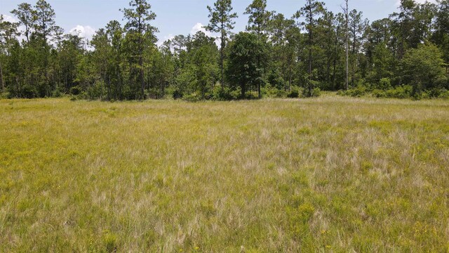 2388 Fish Lake Rd, Kountze, TX 77625 - photo 26