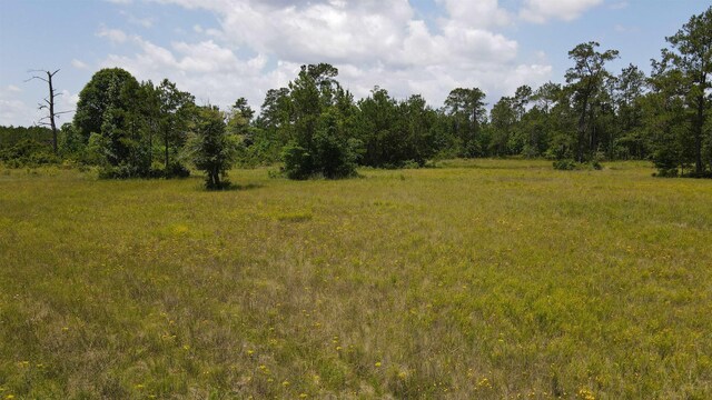 2388 Fish Lake Rd, Kountze, TX 77625 - photo 25