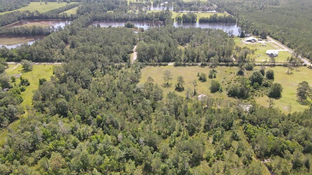 2388 Fish Lake Rd, Kountze, TX 77625 - photo 6