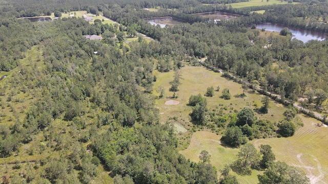 2388 Fish Lake Rd, Kountze, TX 77625 - photo 4