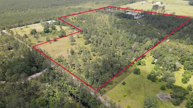 2388 Fish Lake Rd, Kountze, TX 77625 - photo 1