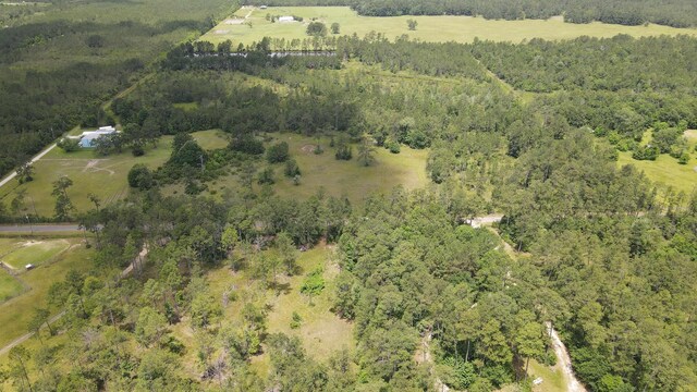 2388 Fish Lake Rd, Kountze, TX 77625 - photo 21