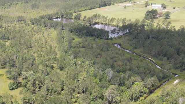 2388 Fish Lake Rd, Kountze, TX 77625 - photo 30