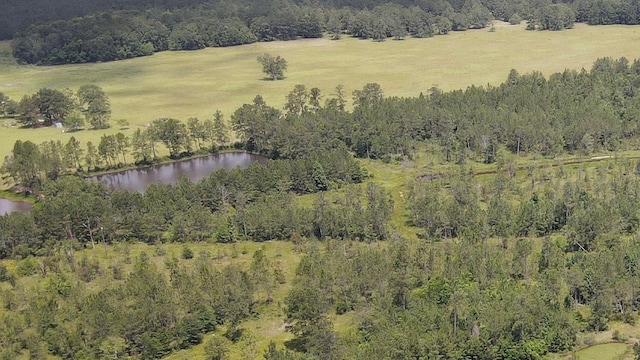 2388 Fish Lake Rd, Kountze, TX 77625 - photo 32