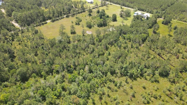 2388 Fish Lake Rd, Kountze, TX 77625 - photo 8