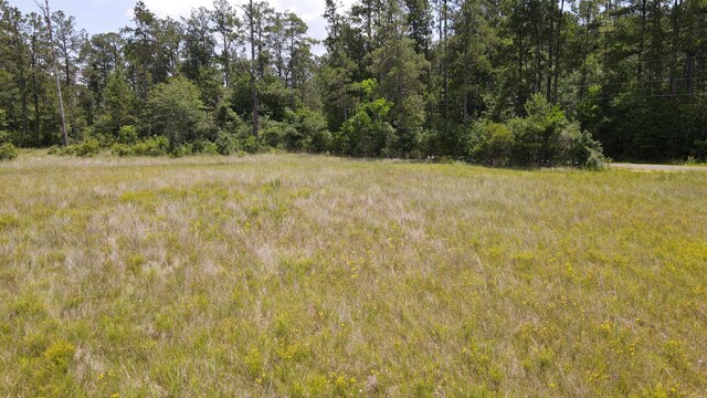 2388 Fish Lake Rd, Kountze, TX 77625 - photo 27