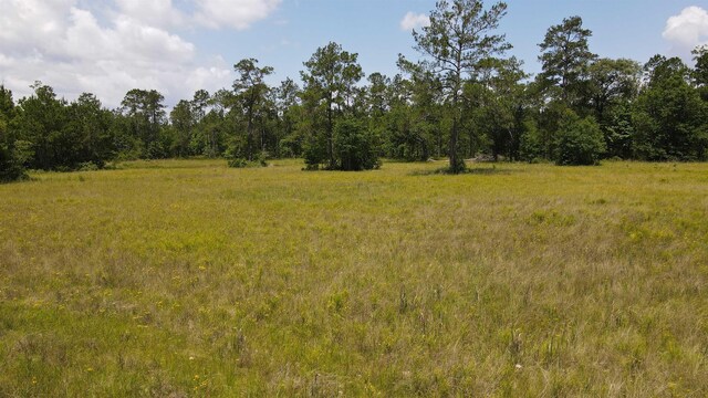 2388 Fish Lake Rd, Kountze, TX 77625 - photo 24