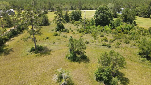 2388 Fish Lake Rd, Kountze, TX 77625 - photo 29